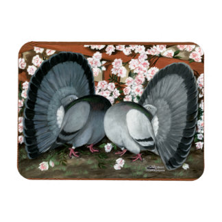 Fantail Pigeons Matched Pair Magnet