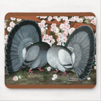 Fantail Pigeons Matched Pair Mouse Pad