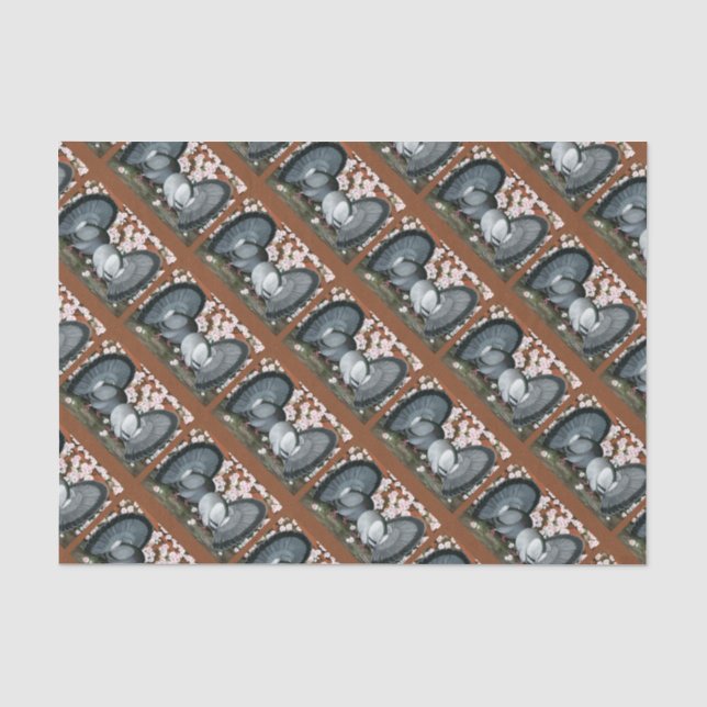 Fantail Pigeons Matched Pair Tissue Paper (Front)
