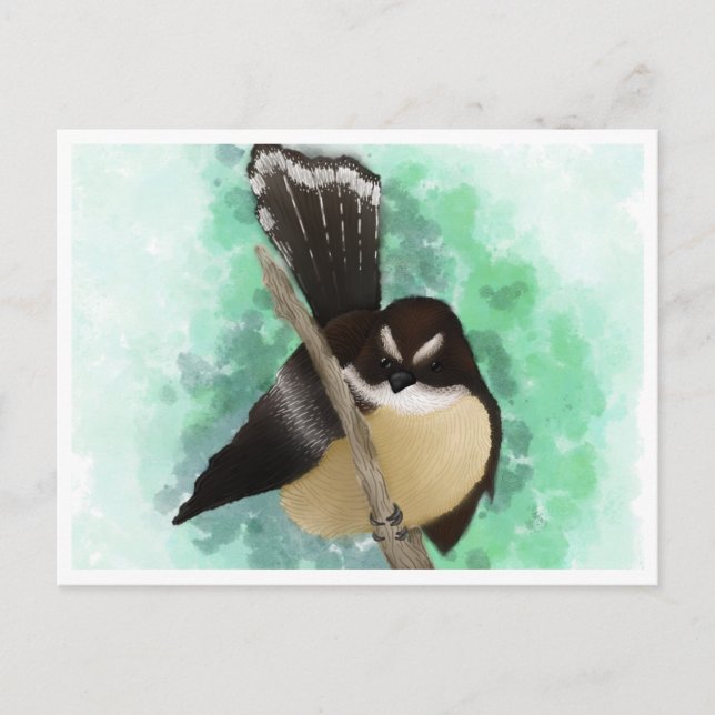 Fantail Water Colour Digital Art Postcard (Front)