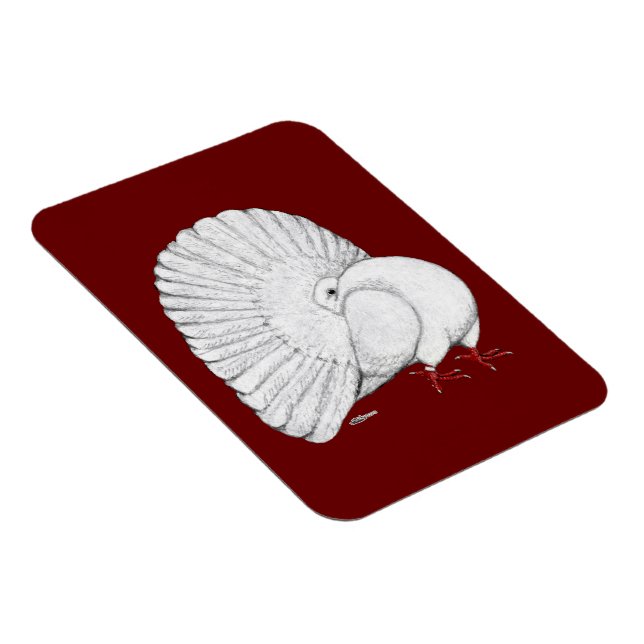 Fantail:  White Magnet (Right Side)