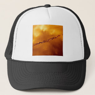 Fantasia Wire in Orange Trucker Hat