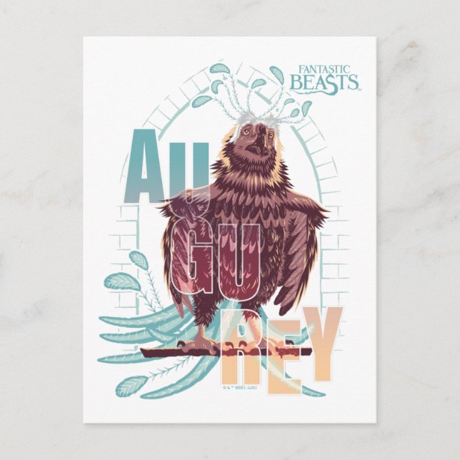 Fantastic Beasts Augurey Postcard (Front)