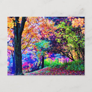 Fantastic Fall Colours Autumn Leaves Trees Scenic  Postcard