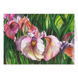 Fantastic group Iris