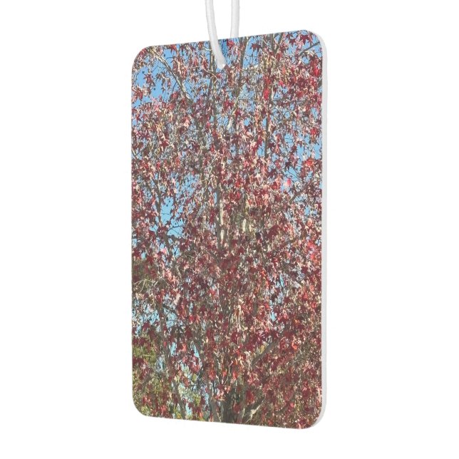 Fantastic Nature, Car Air Freshener (Left)
