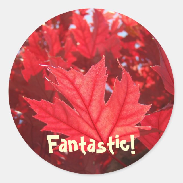 Fantastic Red Autumn Leaf stickers Leaves Nature (Front)