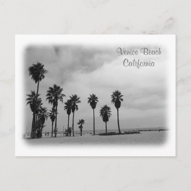Fantastic Venice Beach Postcard! Postcard (Front)