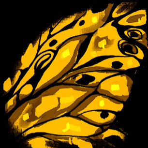 Fantasy abstractive butterfly   Flip Flops