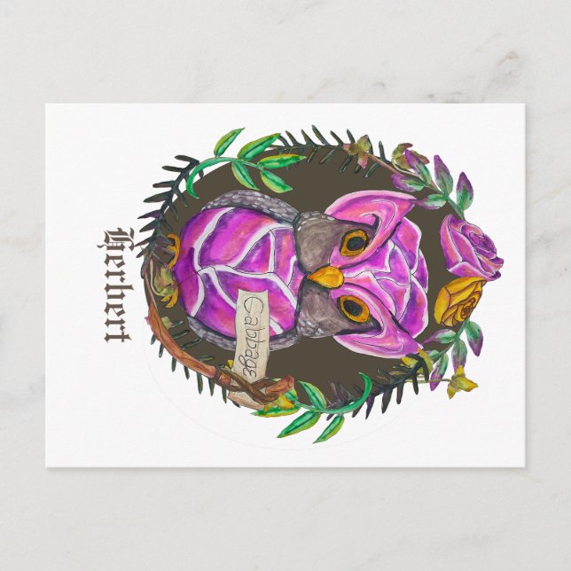 Fantasy cabbage  owl -  cute owl postcard (Front)