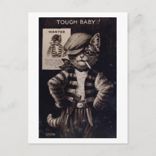 Fantasy Cat, Tough Baby Vintage Postcard