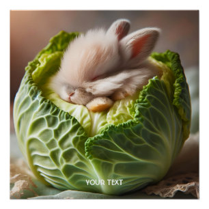 Fantasy Cute Baby Bunny Cabbage Poster