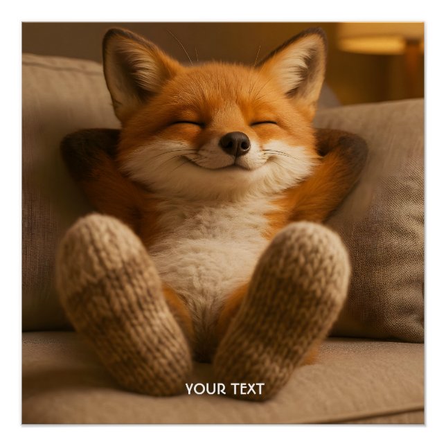 Fantasy Cute Fox And Socks Poster (Front)
