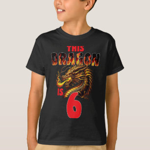 Fantasy Dragon Theme For Kids Turning 6 Birthday  T-Shirt
