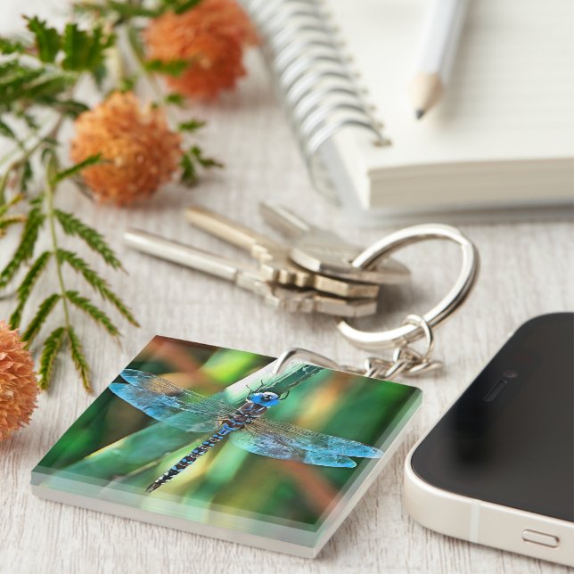 Fantasy Dragonfly In Turquoise and Black Key Ring (Front Right)