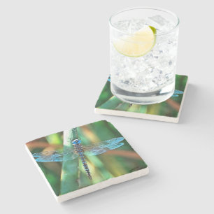 Fantasy Dragonfly In Turquoise and Black Stone Coaster