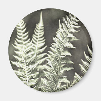 Fantasy Feather Like Fern Magnet