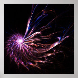 Fantasy feathers - Poster