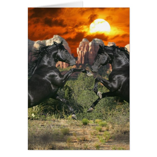 Fantasy Horses: Black Magic (Front)