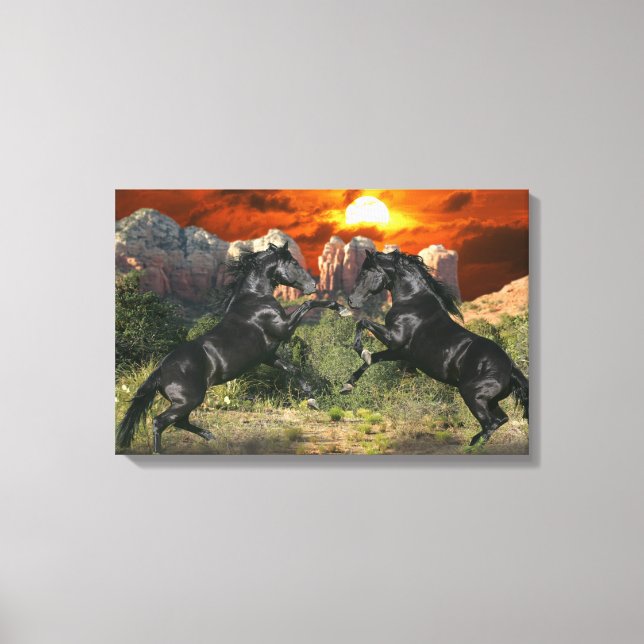 Fantasy Horses: Black Magic Canvas Print (Front)