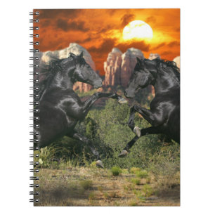 Fantasy Horses: Black Magic Spiral Notebook