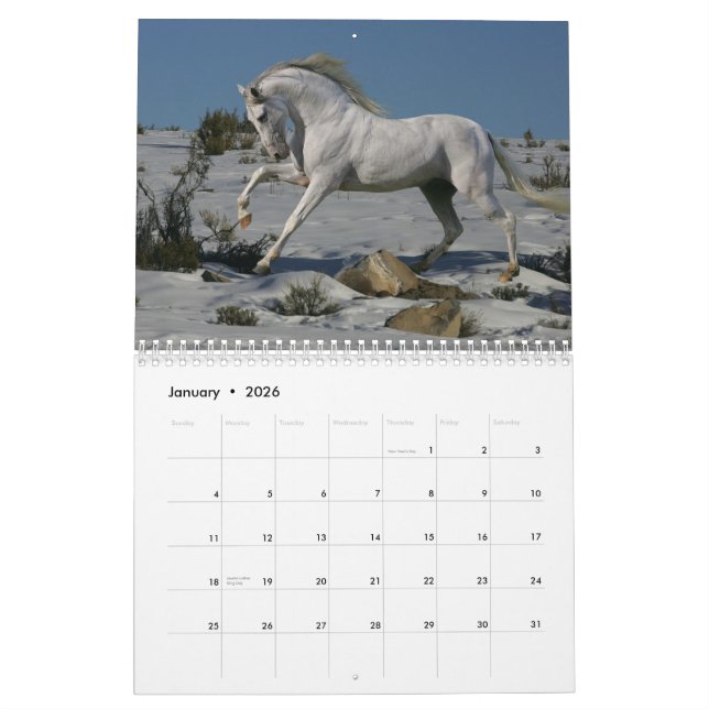 Fantasy Horses Calendar (Jan 2026)