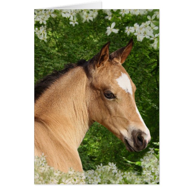 Fantasy Horses: Flowers (Front)