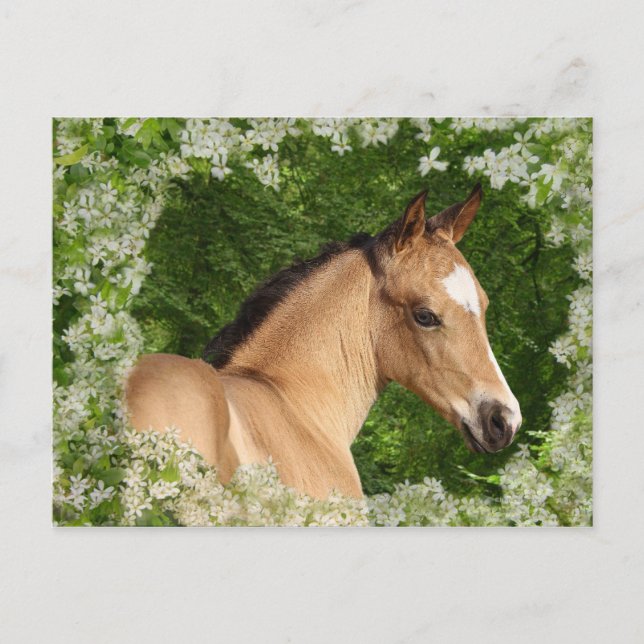 Fantasy Horses: Flowers Postcard (Front)