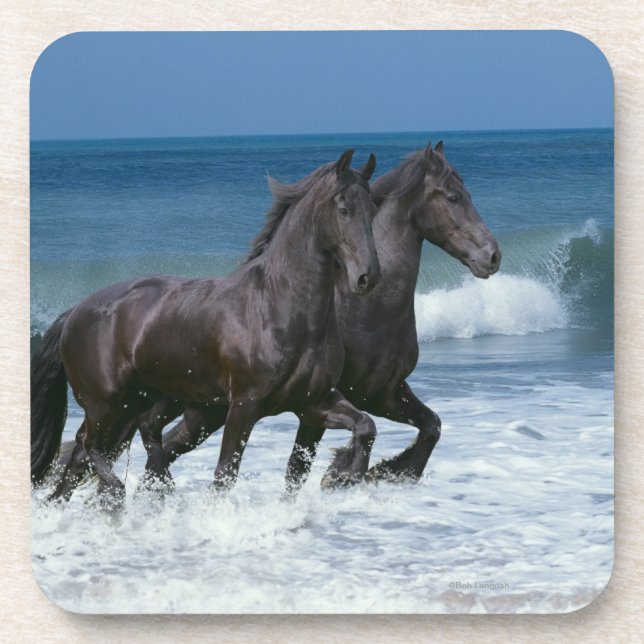 Fantasy Horses: Friesians & Sea Coaster (Front)