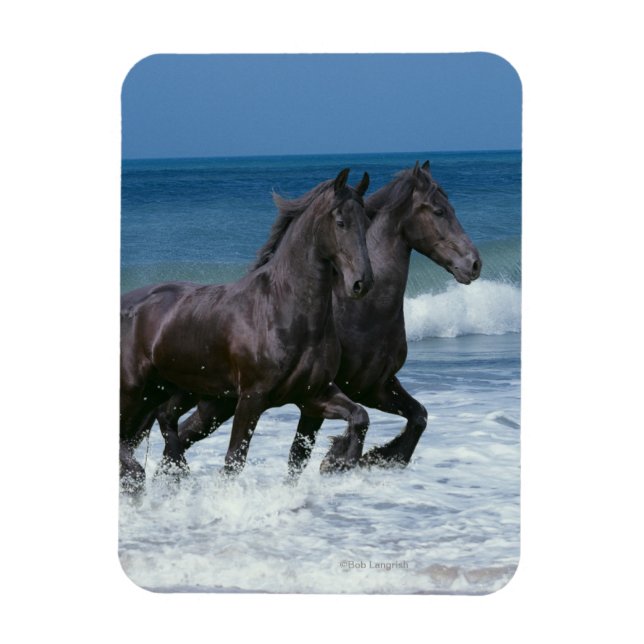 Fantasy Horses: Friesians & Sea Magnet (Vertical)