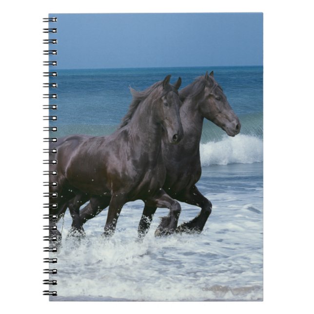 Fantasy Horses: Friesians & Sea Spiral Notebook (Front)