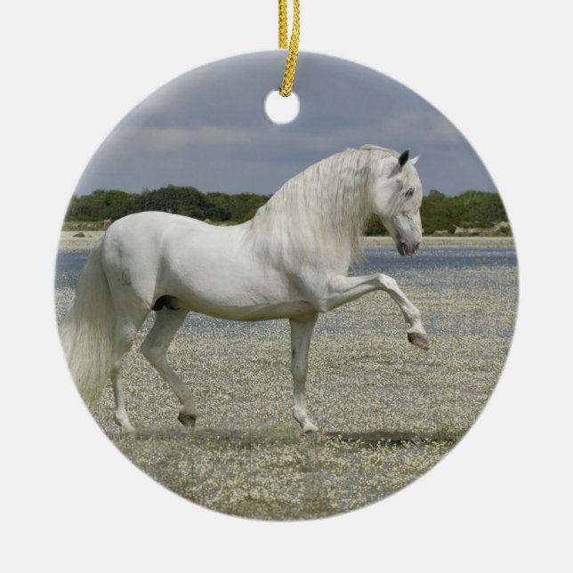 Fantasy Horses: Lord of the Lake Ceramic Tree Decoration (Front)