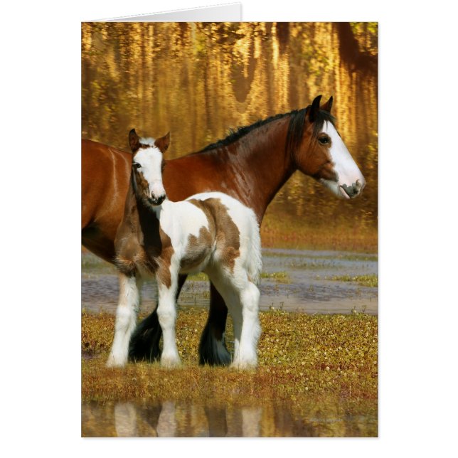 Fantasy Horses: Mare & Foal (Front)