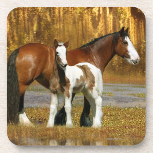 Fantasy Horses: Mare & Foal Coaster