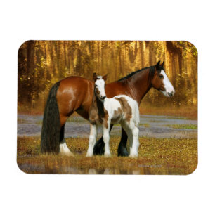 Fantasy Horses: Mare & Foal Magnet