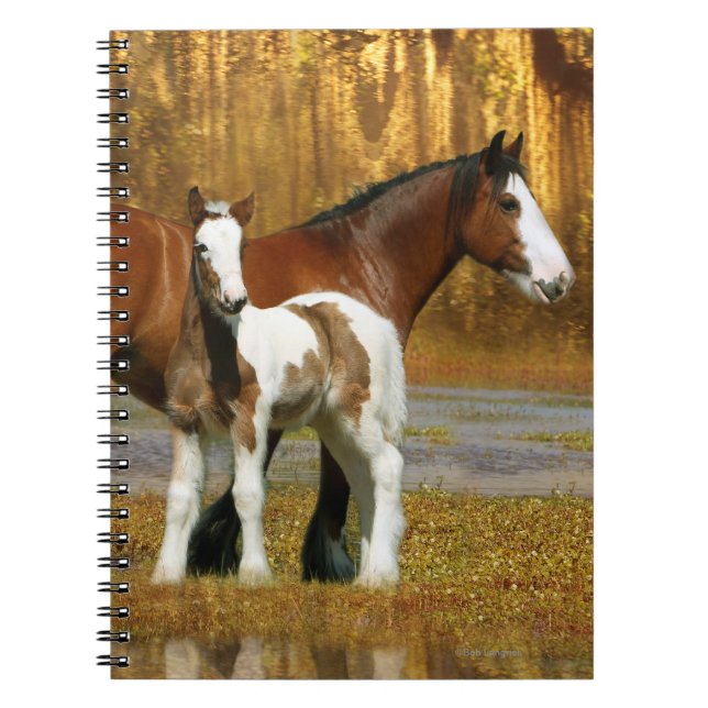 Fantasy Horses: Mare & Foal Spiral Notebook (Front)