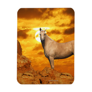 Fantasy Horses: Mountain Magnet