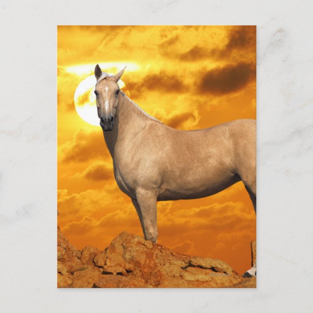 Fantasy Horses: Mountain Postcard (Front)