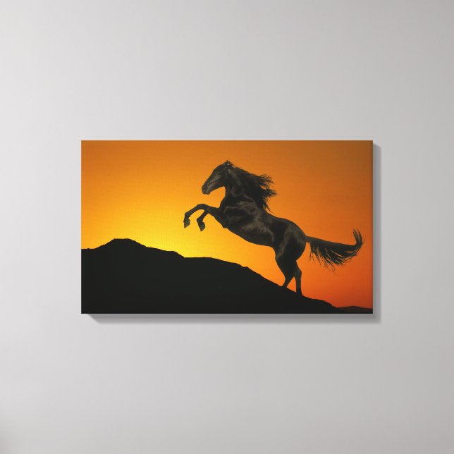Fantasy Horses: Mountain Sunset Canvas Print (Front)