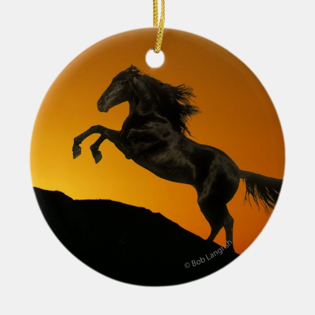 Fantasy Horses: Mountain Sunset Ceramic Tree Decoration (Front)