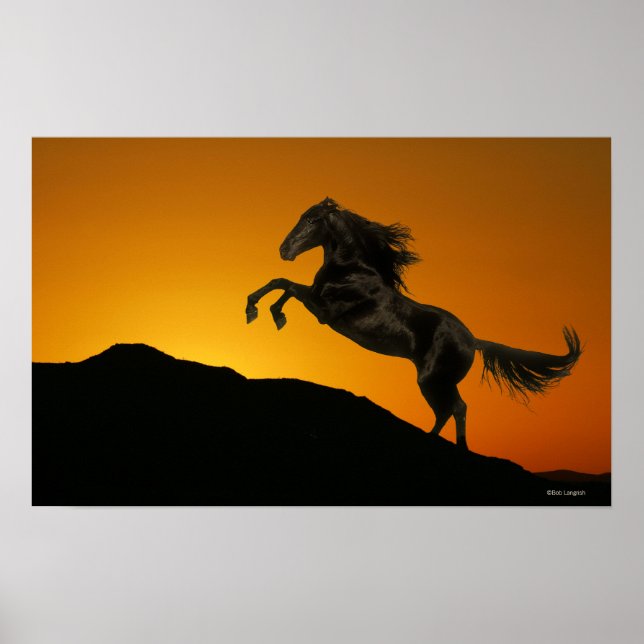 Fantasy Horses: Mountain Sunset Poster (Front)