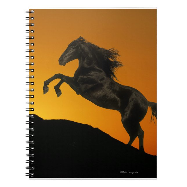 Fantasy Horses: Mountain Sunset Spiral Notebook (Front)