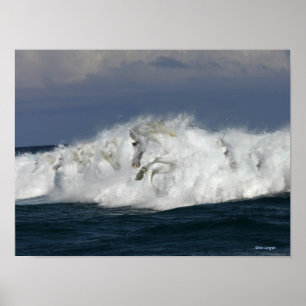 Fantasy Horses: Sea Poster