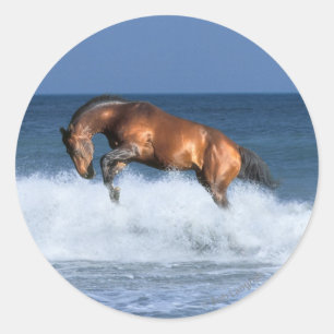 Fantasy Horses: Selle Francais & Sea Classic Round Sticker