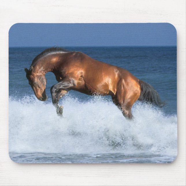 Fantasy Horses: Selle Francais & Sea Mouse Pad (Front)