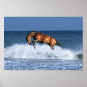 Fantasy Horses: Selle Francais & Sea Poster