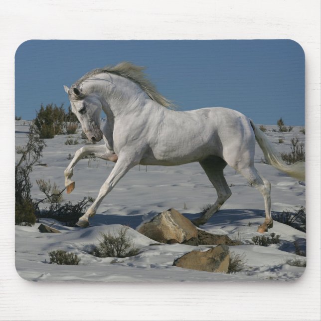 Fantasy Horses: Snow King Mouse Pad (Front)