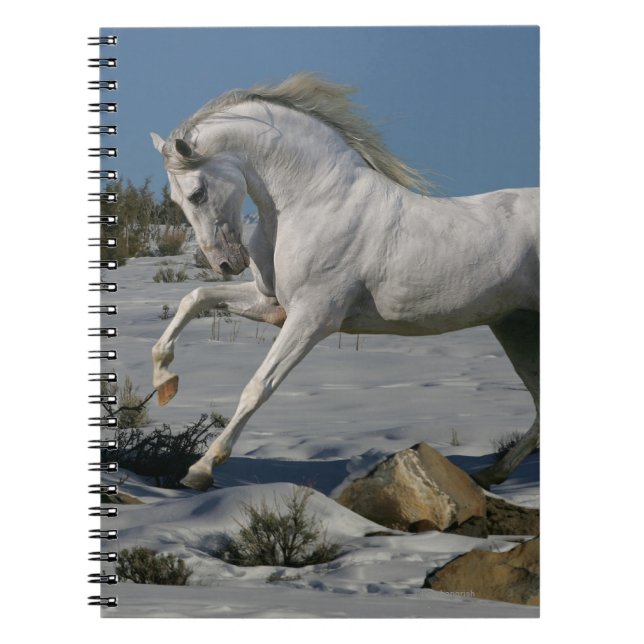 Fantasy Horses: Snow King Notebook (Front)
