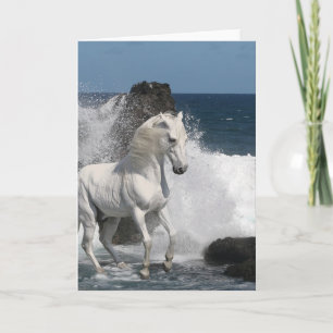Fantasy Horses: Southern Seas Card