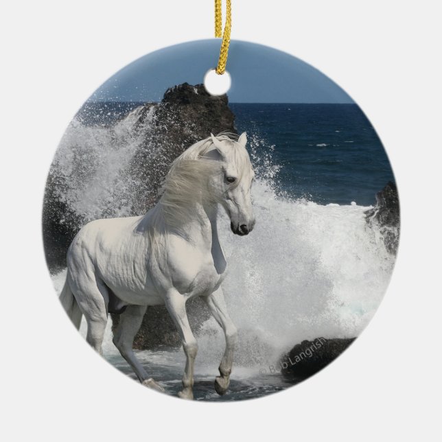 Fantasy Horses: Southern Seas Ceramic Tree Decoration (Front)